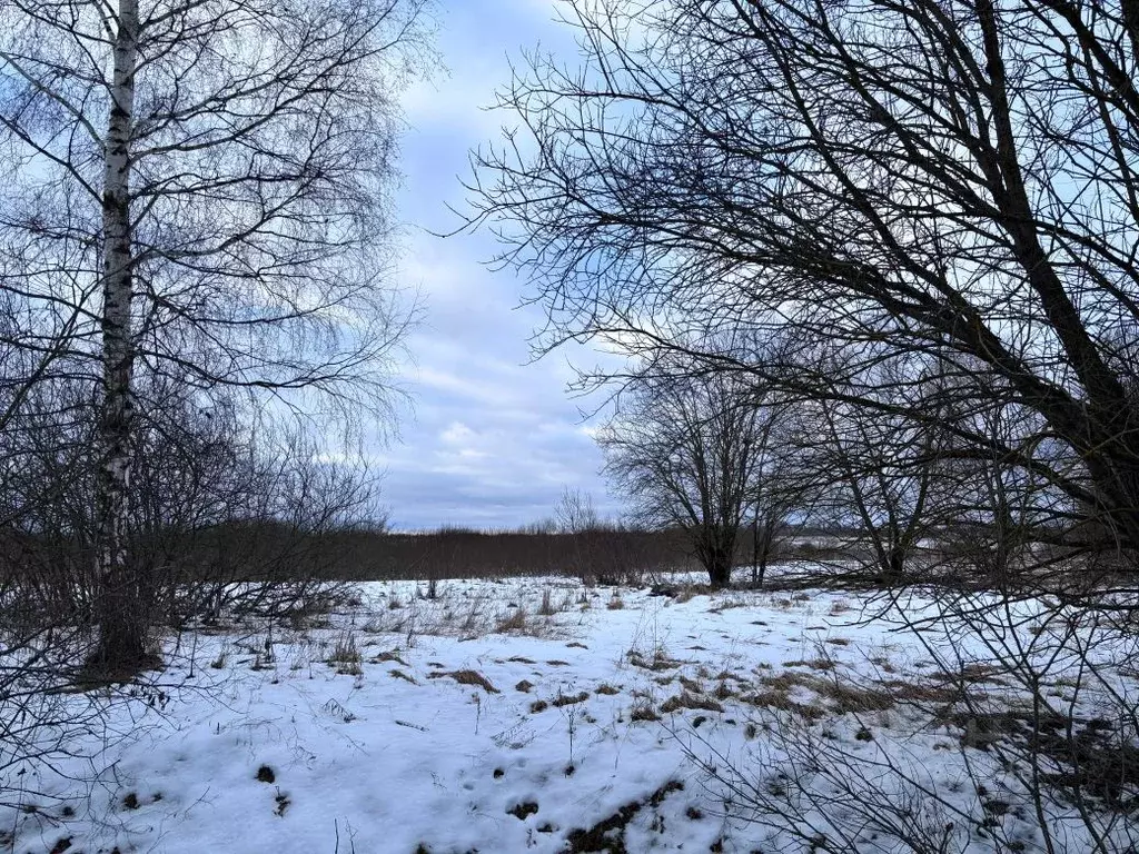 Участок в Московская область, Клин городской округ, д. Ватолино  (15.0 ... - Фото 0