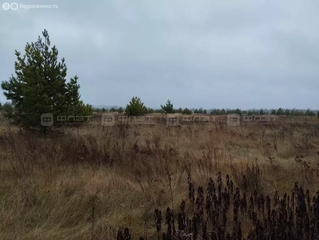 Участок в Лебяжье, Крымская улица (11 м) - Фото 2