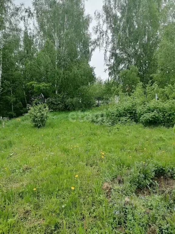 Участок в Калужская область, Калуга городской округ, д. Воровая  (8.0 ... - Фото 2