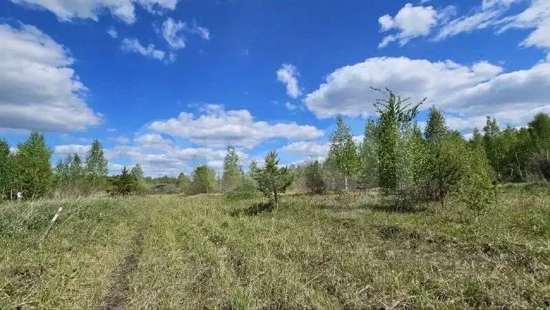 Участок в Тюменская область, Нижнетавдинский муниципальный округ, д. ... - Фото 1