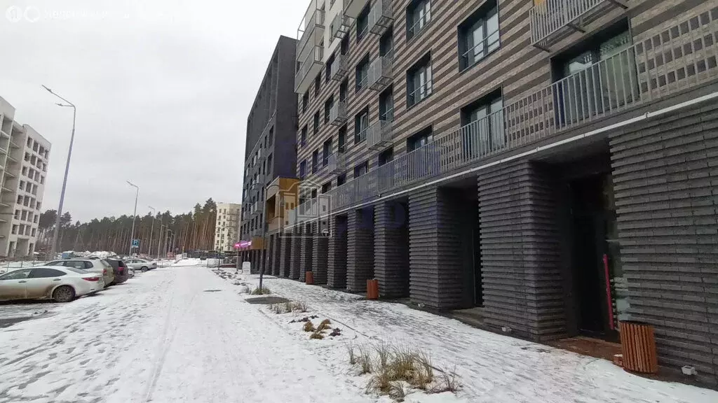 Помещение свободного назначения (114.26 м) - Фото 2