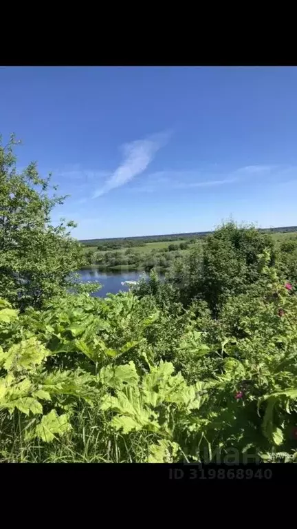 Участок в Архангельская область, Котласский муниципальный округ, ... - Фото 1