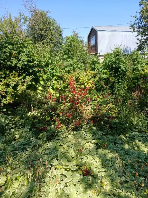 Дом в Татарстан, Верхнеуслонский район, Октябрьское с/пос, с. Ключищи  ... - Фото 1