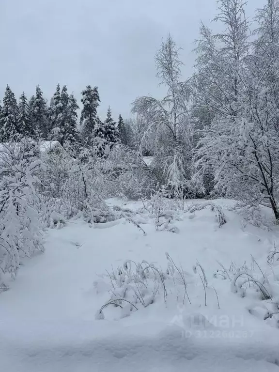 Участок в Санкт-Петербург, Санкт-Петербург, Зеленогорск ул. 1-я ... - Фото 1