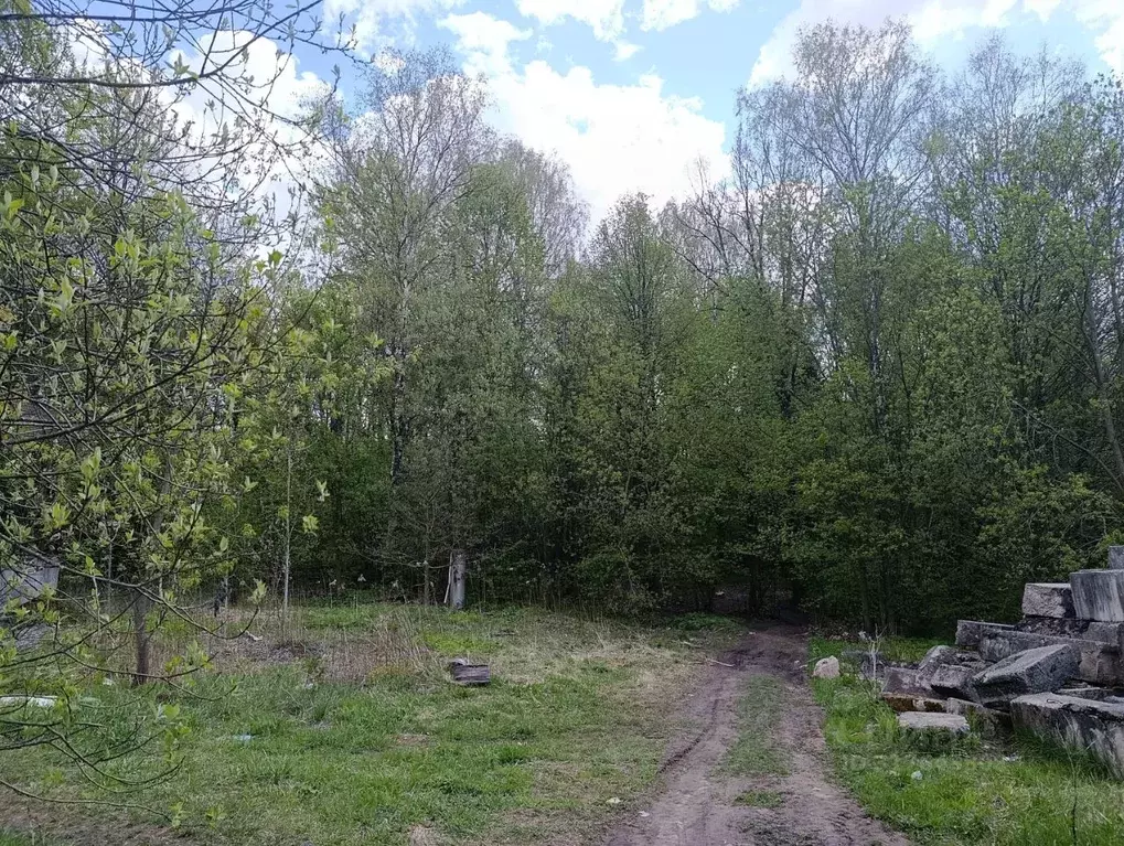 Участок в Московская область, Пушкинский городской округ, с. Левково  ... - Фото 1