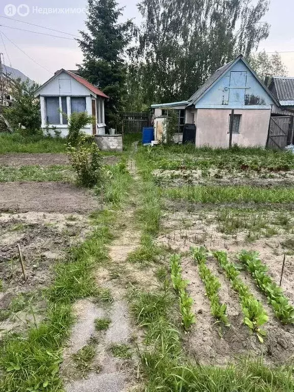 Дом в Калининград, СНТ Мелиоратор, Средняя улица (25 м) - Фото 0