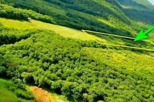 Участок в Крым, Кировский район, Старый Крым городское поселение пл. ... - Фото 2