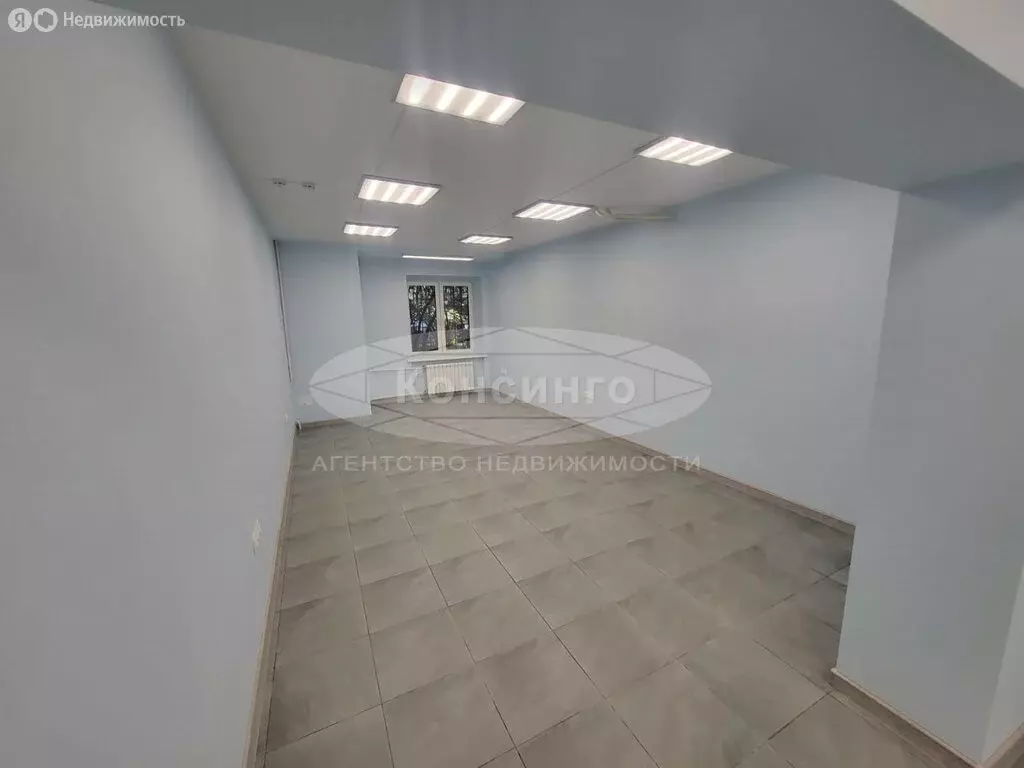 Помещение свободного назначения (32.3 м) - Фото 2