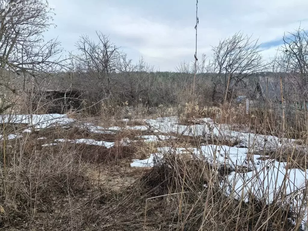 Участок в Ульяновск, СНТ Машзавода имени Володарского, сад № 9, 3 ... - Фото 2
