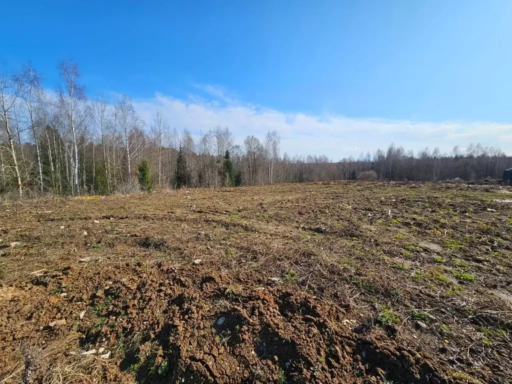 Участок в Москва № 180 кв-л,  (8.1 сот.) - Фото 2