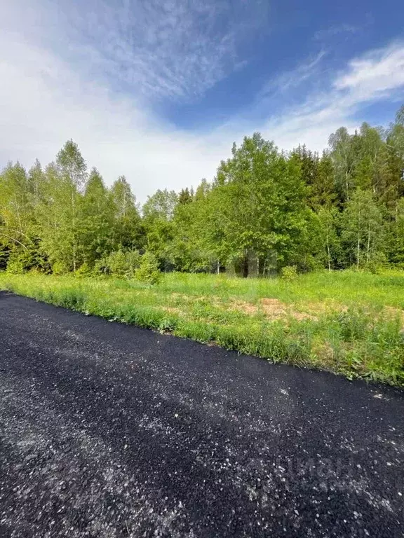 Участок в Московская область, Дмитровский муниципальный округ, Сбоево ... - Фото 1