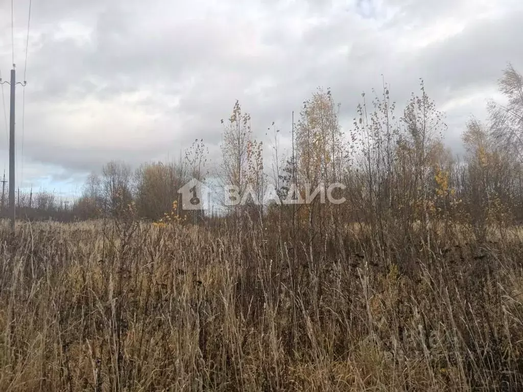 Участок в Владимирская область, Суздальский район, с. Новоалександрово ... - Фото 0