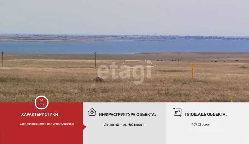 Участок в Крым, Черноморский район, Медведевское с/пос, с. Медведево  ... - Фото 2
