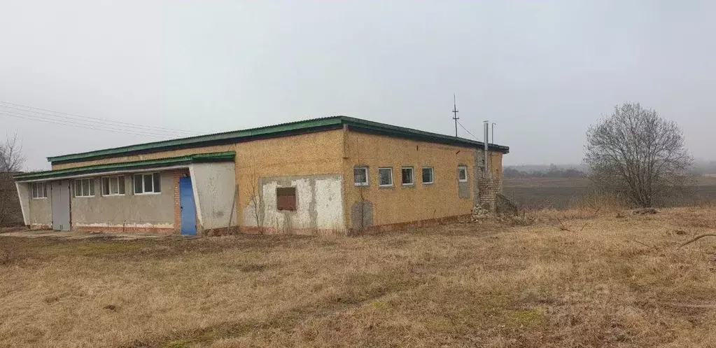 Помещение свободного назначения в Смоленская область, Краснинский ... - Фото 1