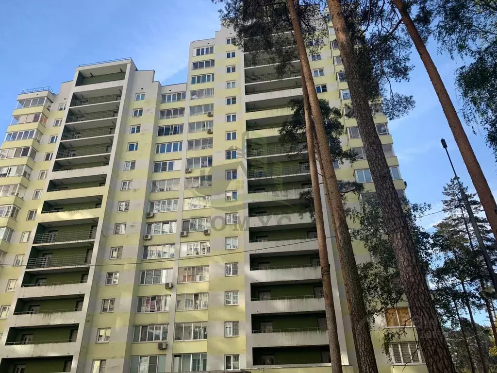 Студия Московская область, Раменское Высоковольтная ул., 20 (30.8 м) - Фото 0