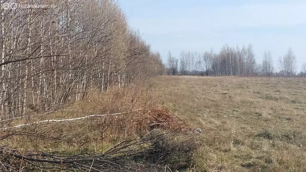 Участок в Осиновая Речка, улица Ломоносова (11.8 м) - Фото 2