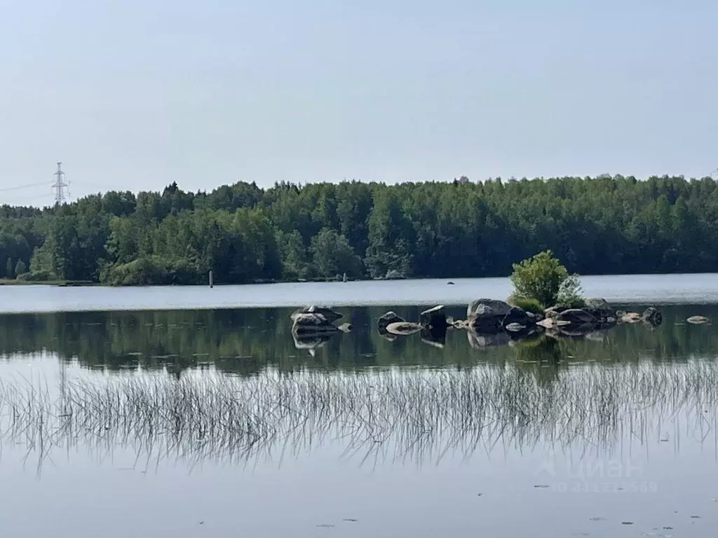 Участок в Ленинградская область, Выборг Сайменский мкр, ДНП Брусничное ... - Фото 0