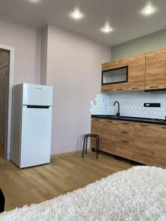 Студия Новосибирская область, Новосибирск Рябиновая ул., 14/1 (27.0 м) - Фото 2