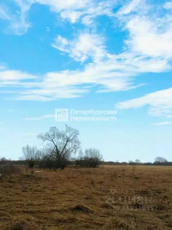 Участок в Новгородская область, Шимское городское поселение, д. Оспино ... - Фото 0