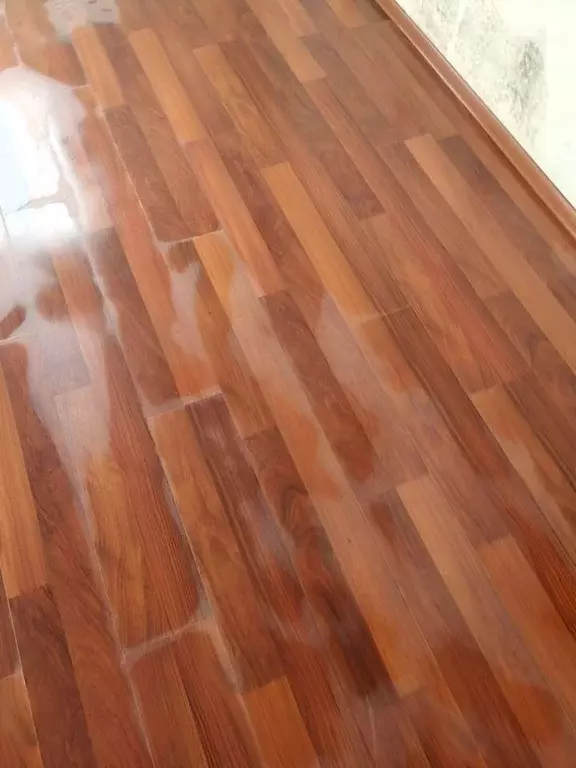 Офис в Краснодарский край, Северская ст-ца ул. 50 лет Октября, 52А (59 ... - Фото 1