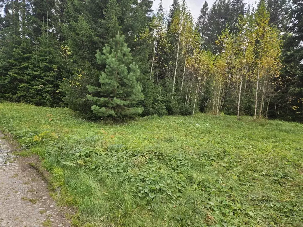 Участок в Свердловская область, Ревда городской округ, пос. Гусевка ... - Фото 0