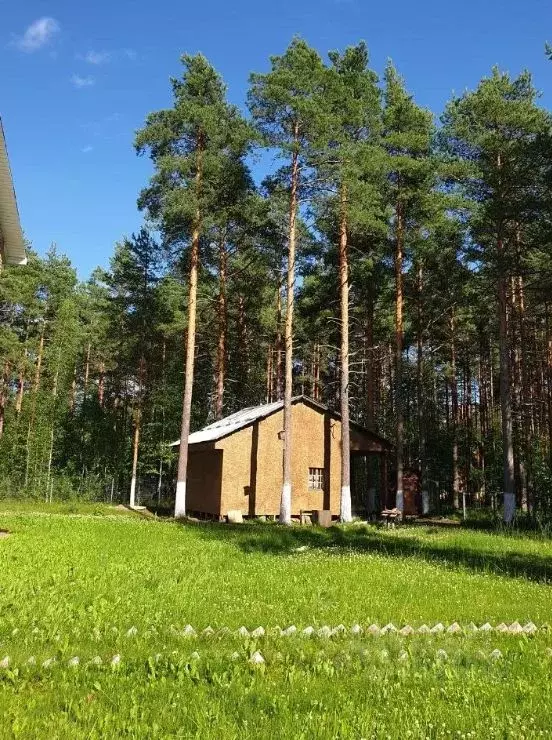 Дом в Ленинградская область, Гатчинский район, Вырица городской ... - Фото 1