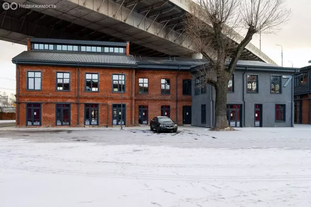 Помещение свободного назначения (53 м) - Фото 1