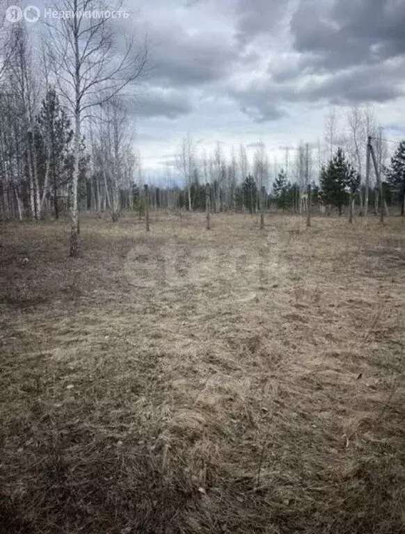 Участок в Нижнетавдинский район, посёлок Мияги, Дорожная улица (10 м) - Фото 0