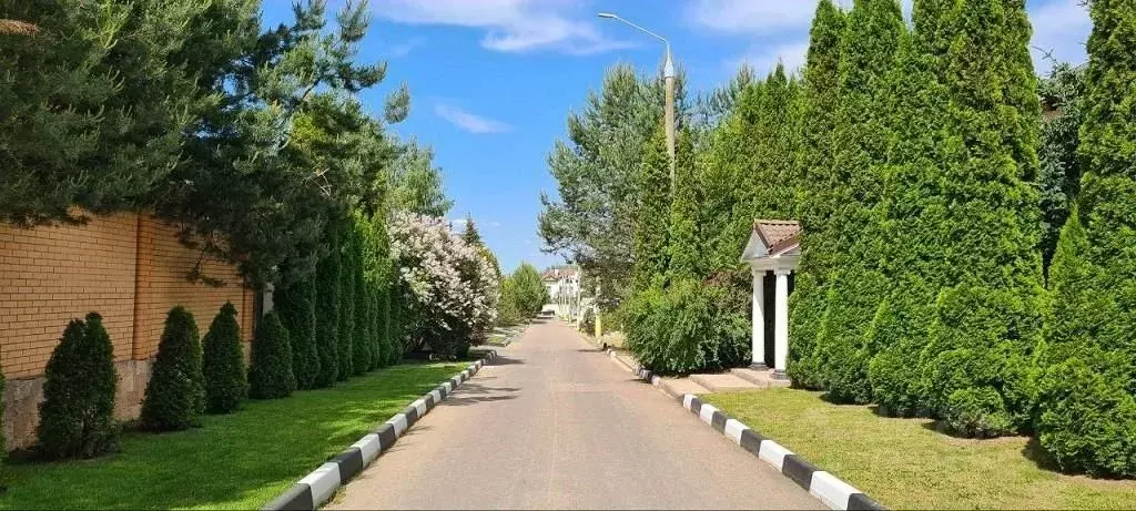 Участок в Московская область, Одинцовский городской округ, д. ... - Фото 2