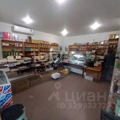 Дом в Крым, Бахчисарайский район, с. Скалистое ул. Щорса, 11 (62 м) - Фото 2