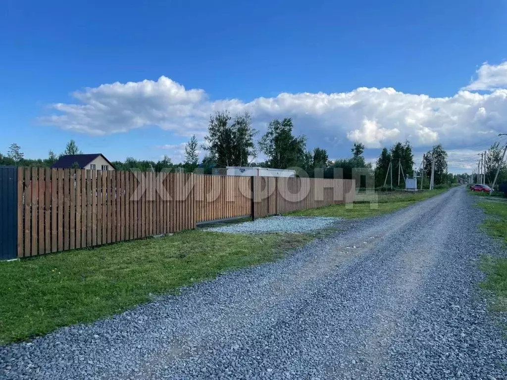 Участок в Новосибирская область, Новосибирский район, Кубовинский ... - Фото 1