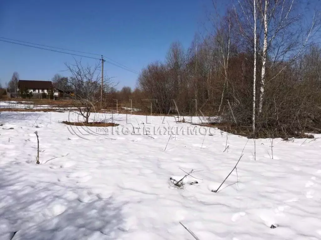 Участок в Новгородская область, Валдайский район, Костковское с/пос, ... - Фото 0