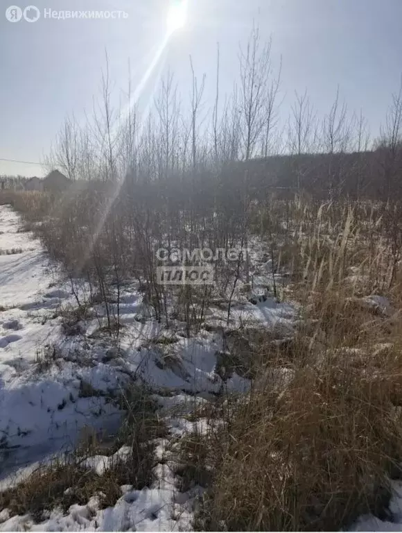 Участок в Заокский район, сельское поселение Демидовское, деревня ... - Фото 2