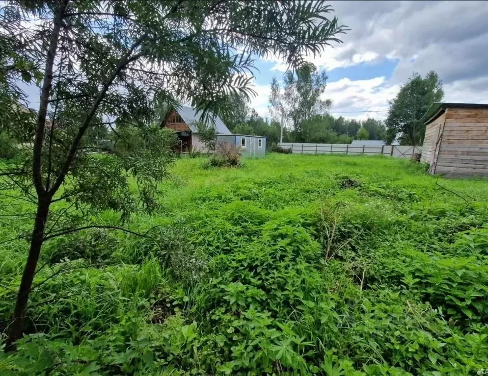 Участок в Московская область, Солнечногорск городской округ, Лесное ... - Фото 1