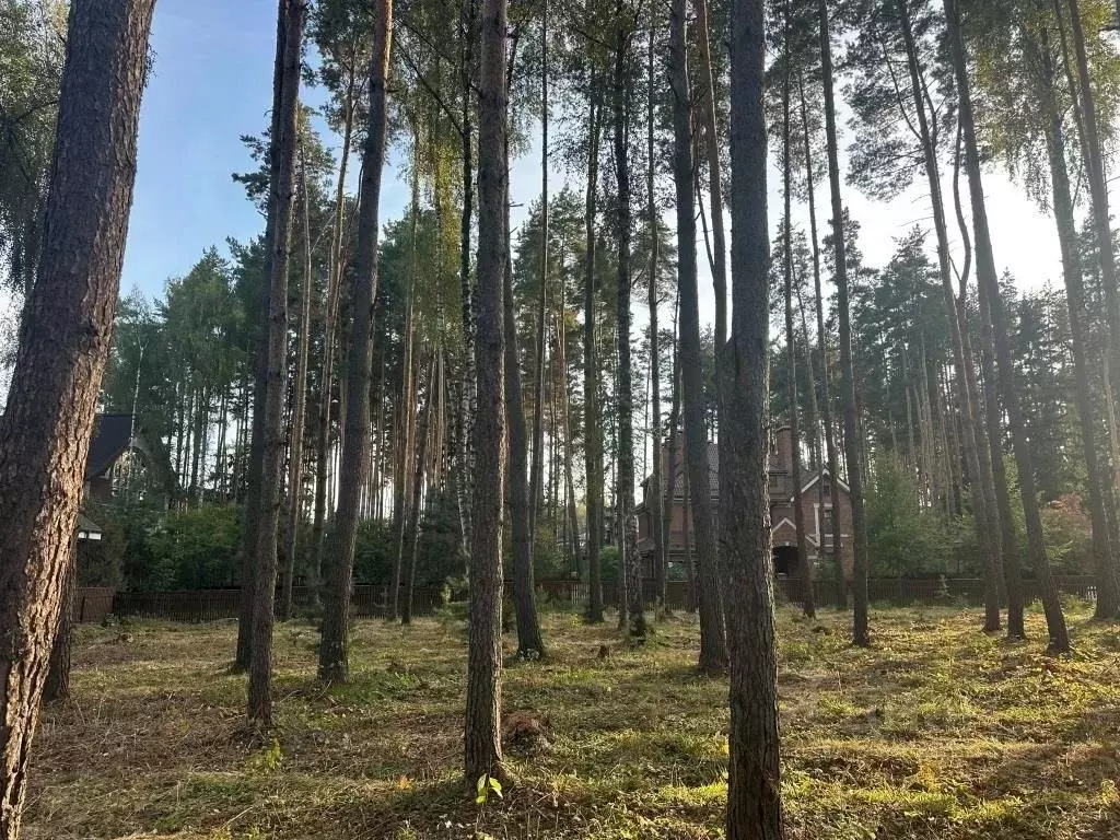 Участок в Московская область, Химки Новогорск-7 кп,  (8.0 сот.) - Фото 0