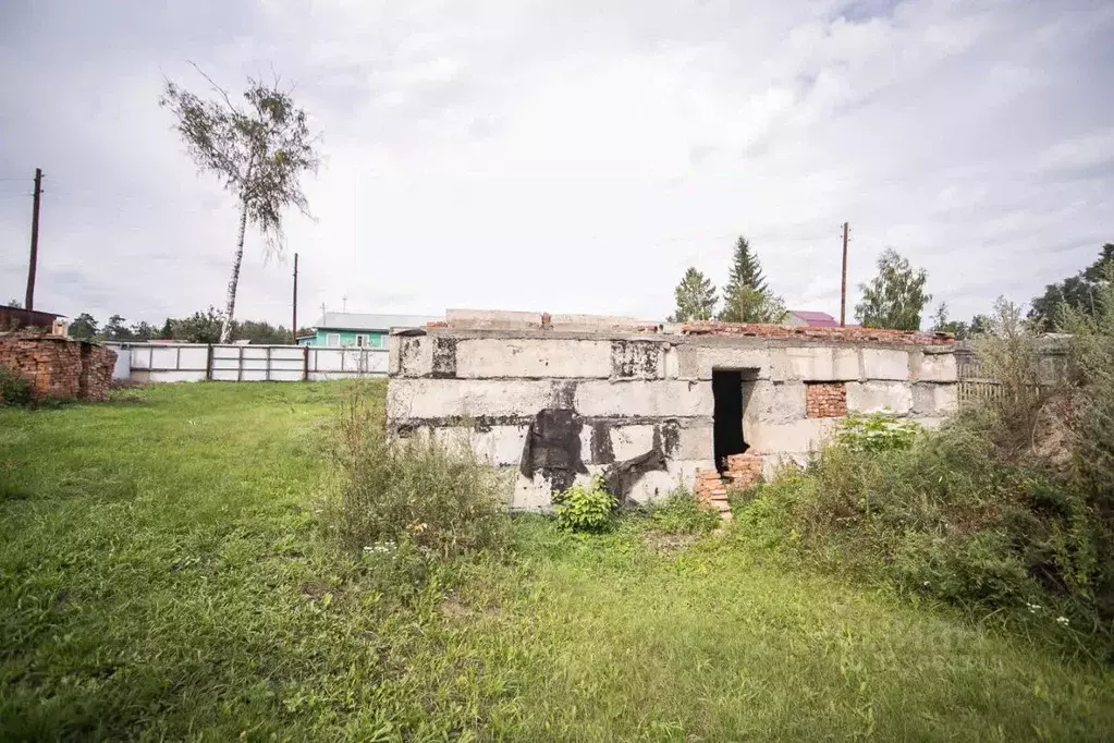 Участок в Новосибирская область, Искитимский район, Чернореченский ... - Фото 1