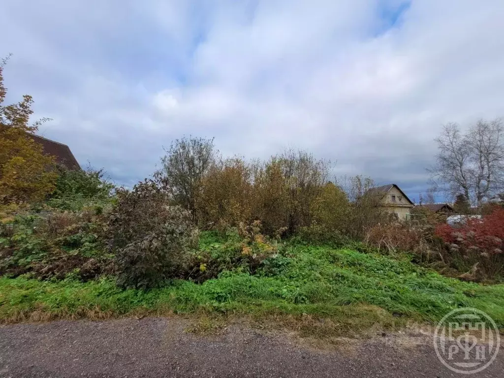 Участок в Ленинградская область, Кировское городское поселение, ... - Фото 1