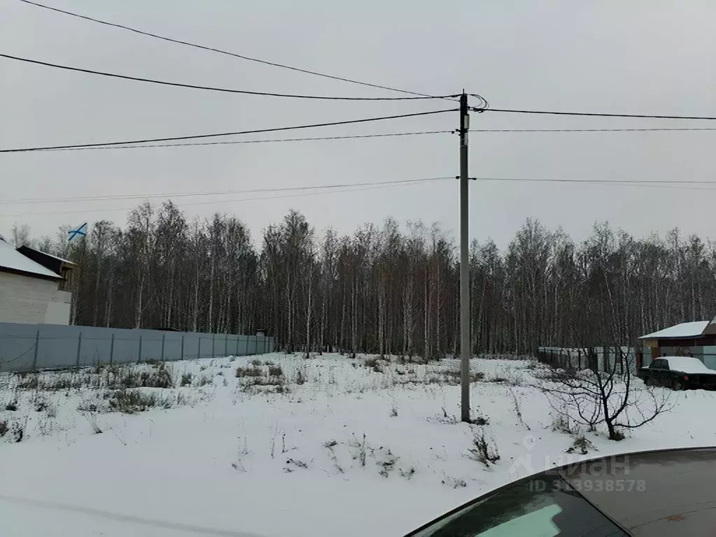 Участок в Челябинская область, Красноармейский район, с. Миасское ул. ... - Фото 1