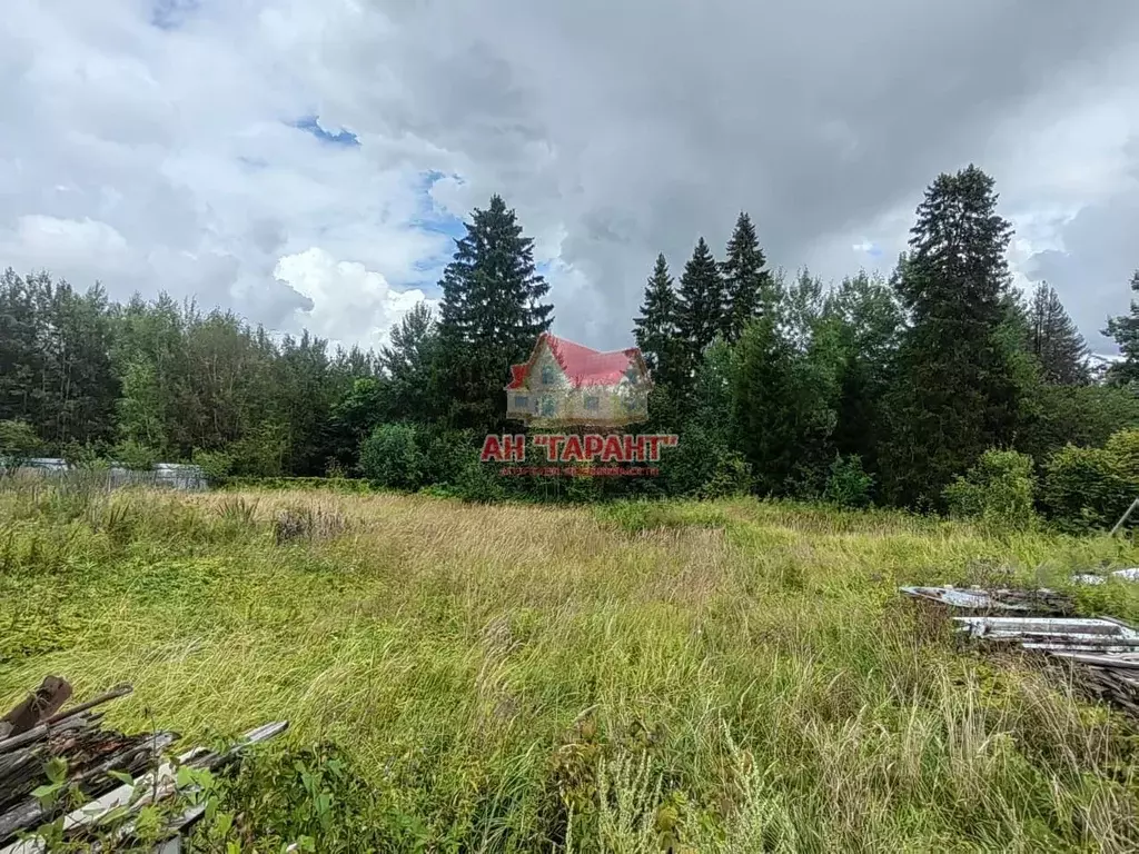 Участок в Владимирская область, Александровский муниципальный округ, ... - Фото 2