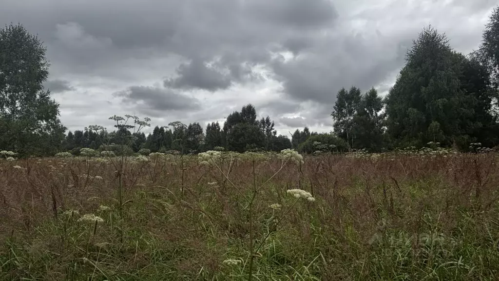 Участок в Московская область, Клин городской округ, д. Орлово  (15.45 ... - Фото 2
