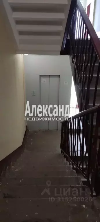 Комната Санкт-Петербург ул. Чекистов, 44 (13.5 м) - Фото 2