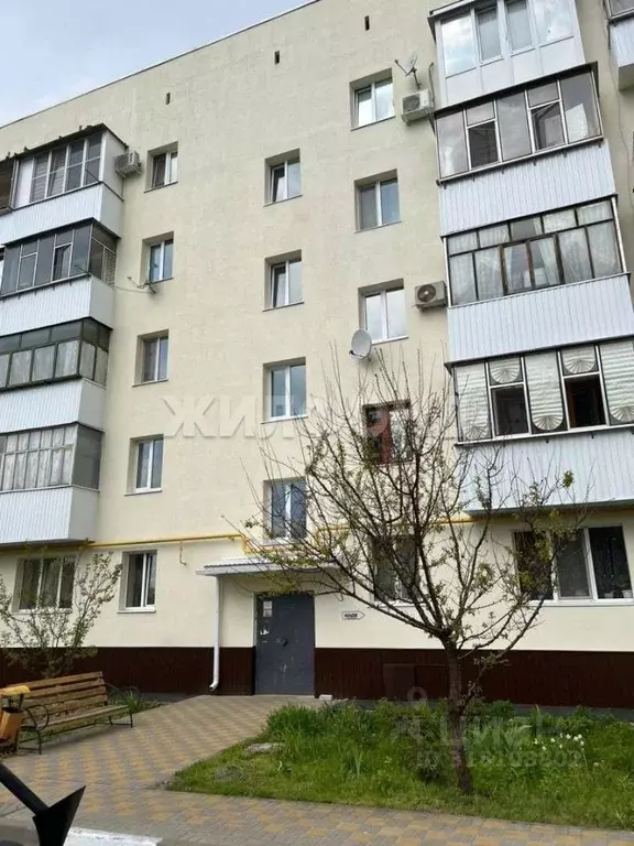 1-к кв. Белгородская область, Белгород Советская ул., 55 (31.0 м) - Фото 0