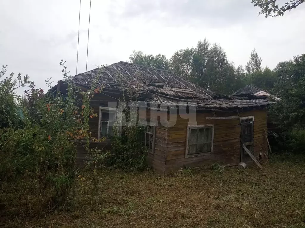 Участок в Вологодская область, Усть-Кубинский муниципальный округ, д. ... - Фото 2