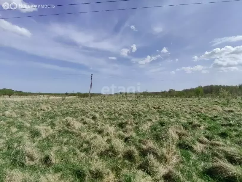 Участок в Калининградская область, Гурьевский муниципальный округ, ... - Фото 1