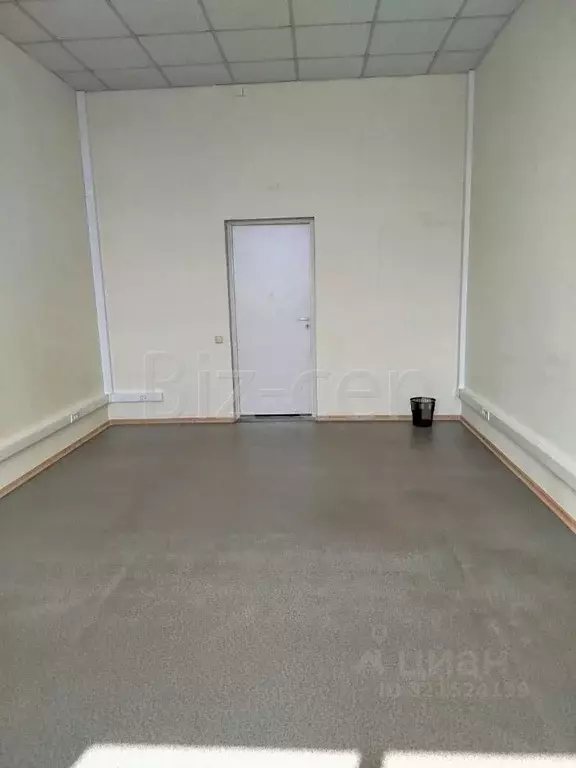 Офис в Санкт-Петербург Минеральная ул., 13 (32 м) - Фото 2