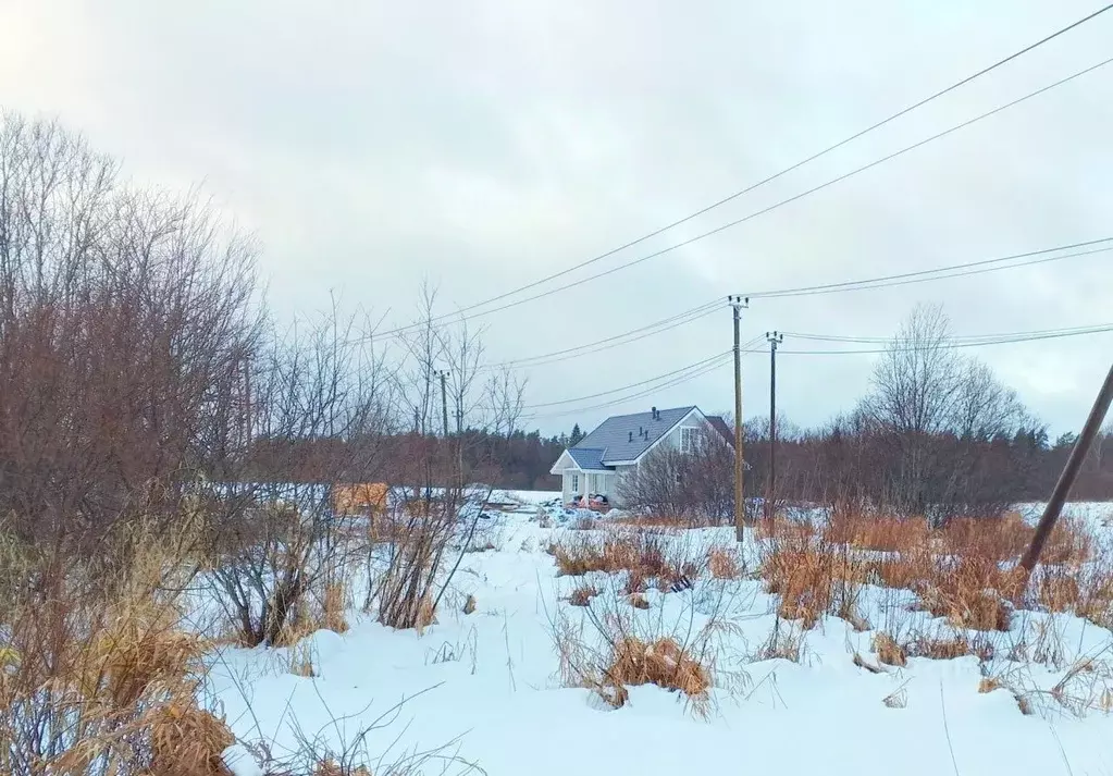 Участок в Ленинградская область, Выборгский район, Красносельское ... - Фото 1