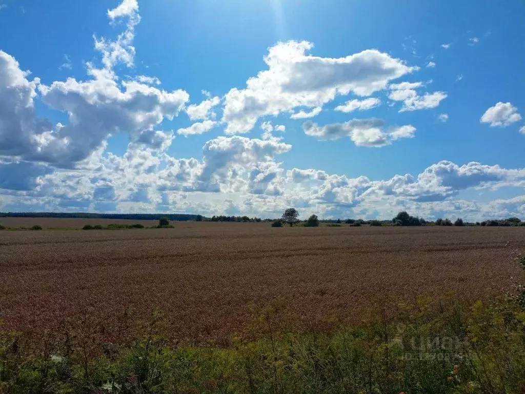 Участок в Калужская область, Село Бабынино с/пос, с. Бабынино  (71.0 ... - Фото 1