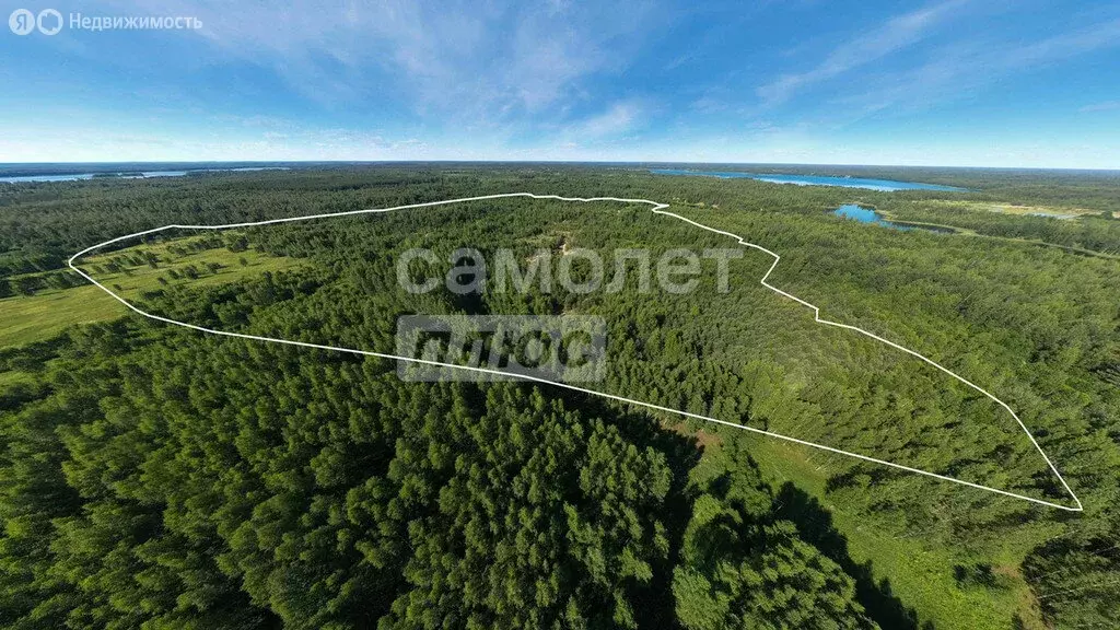 Участок в Тверская область, Вышневолоцкий муниципальный округ, село ... - Фото 2