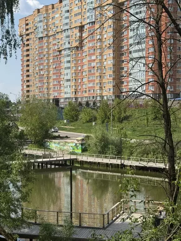 1-к кв. Московская область, Видное Школьная ул., 82 (36.0 м) - Фото 2