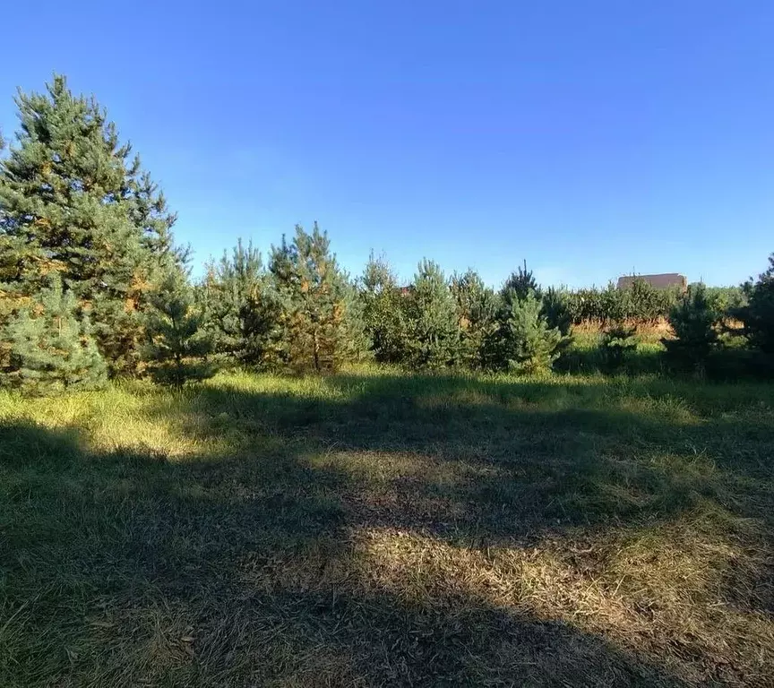 Участок в Владимирская область, Киржачский муниципальный округ, пос. ... - Фото 1